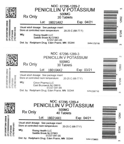 Pvk 500 1289